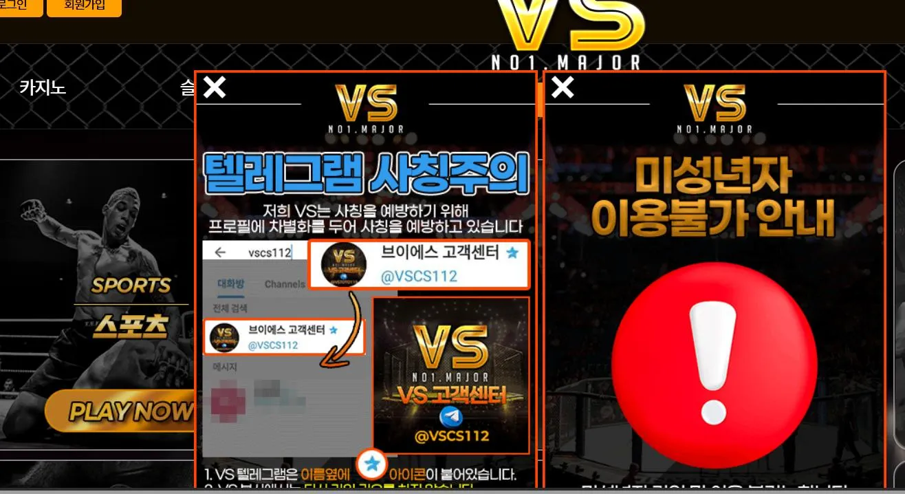 vs 먹튀 증거