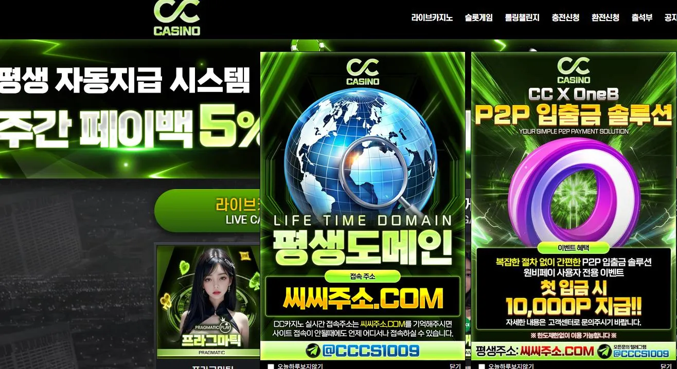 CC카지노 먹튀 증거