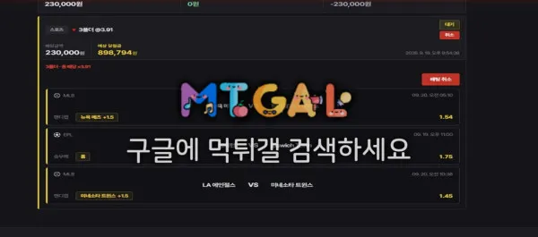 증거 이미지 1