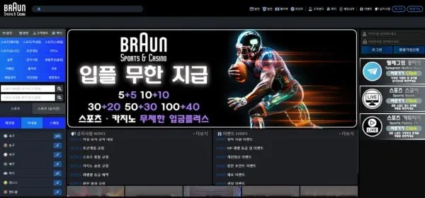 브라운 먹튀 증거