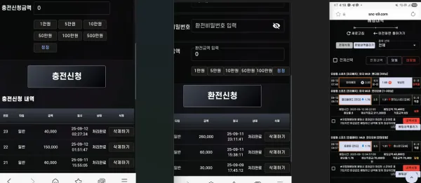 증거 이미지 1