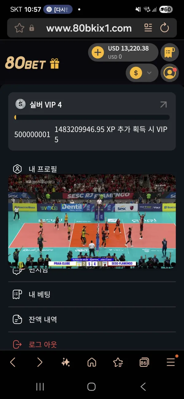 증거 이미지 1
