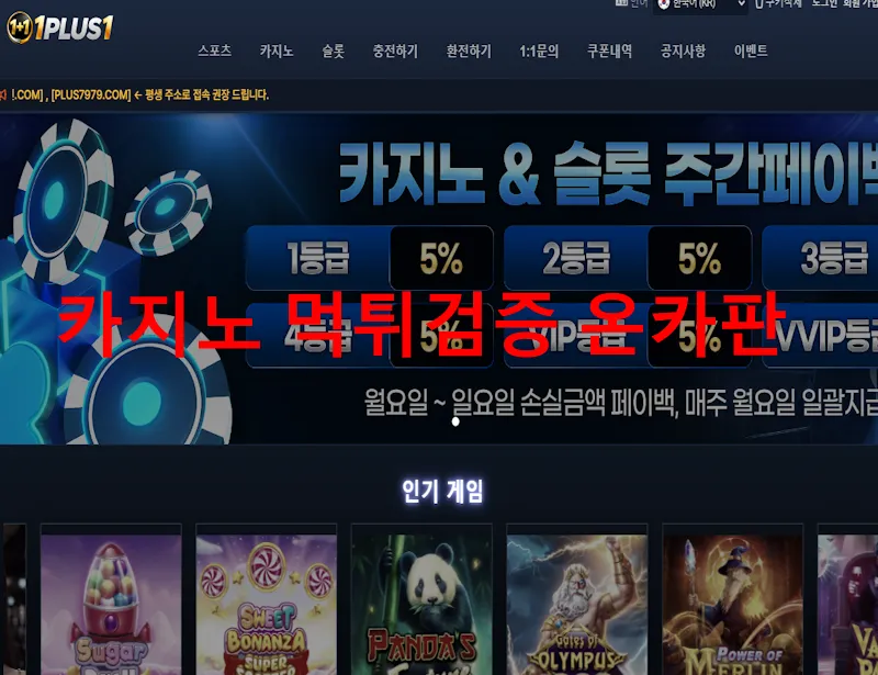 원플원 먹튀 증거