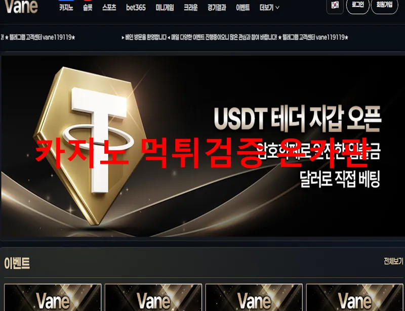 Vane 먹튀 증거