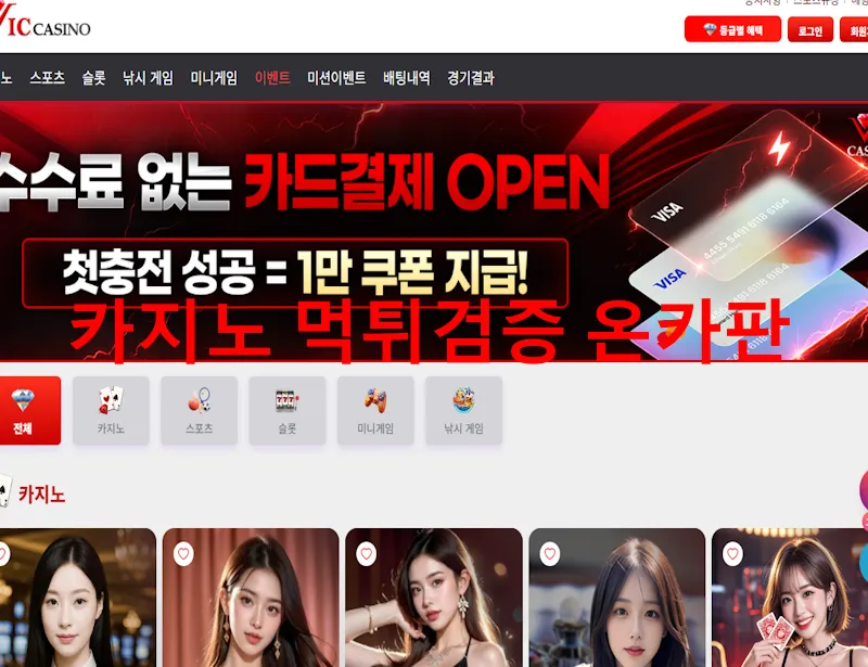빅카지노 먹튀 증거