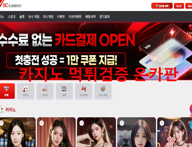 빅카지노 먹튀 증거