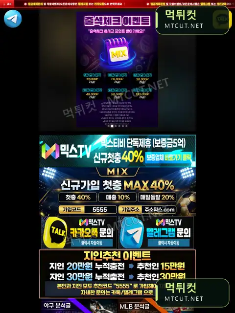 dkvhss11.cafe24.com · dkvhss11.cafe24.com 먹튀컷 자체 캡처