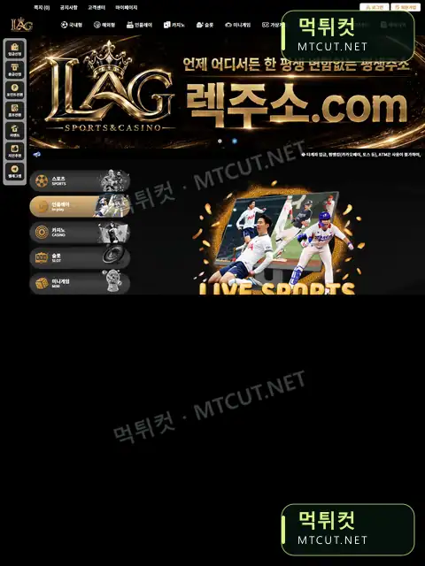LAG · lag-11.com 직접 촬영 화면
