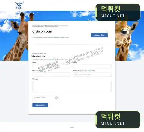 본사인척 · division.com 먹튀컷 자체 캡처