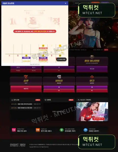 와일드 · whd77.com 먹튀컷 자체 캡처