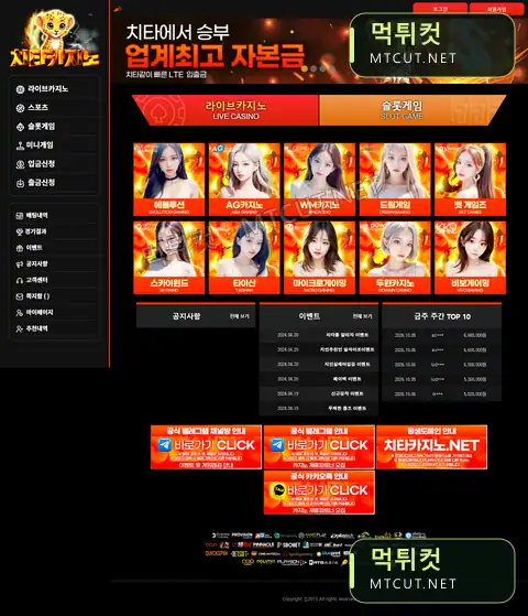 치타카지노 · ctc-9999.com 먹튀컷 자체 캡처