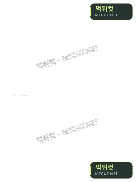 쇼퍼 · hd6199.com 먹튀컷 자체 캡처