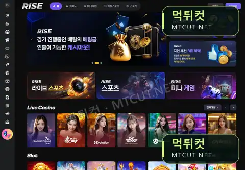 벳라이즈 · bet-rise.com 먹튀컷 자체 캡처