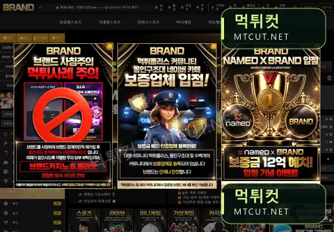 브랜드 · brand-593.com 직접 촬영 화면