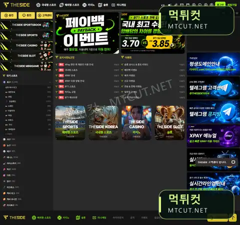 더사이드 · ts-02.com 먹튀컷 자체 캡처