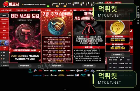 피크닉 · pc-8282.com 먹튀컷 자체 캡처