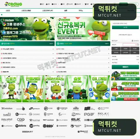 scor11.com · scor11.com 먹튀컷 자체 캡처