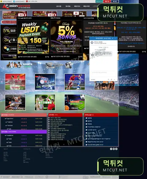 아시안커넥트 · sm6565.com 먹튀컷 자체 캡처
