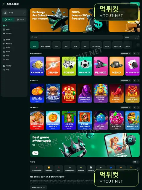 에이스게임 · acegame-casino-kr.com 먹튀컷 자체 캡처