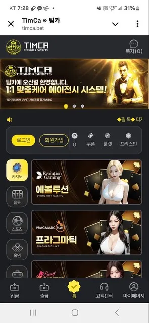 팀카지노 먹튀 증거