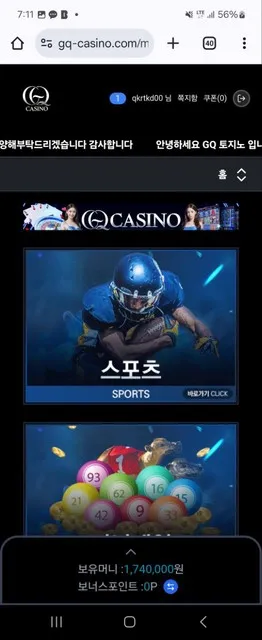 증거 이미지 3