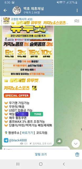 유투벳 먹튀 증거