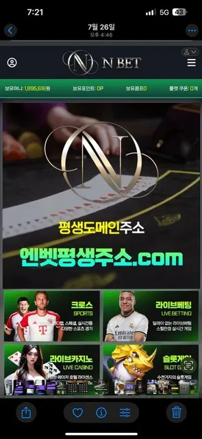 N벳 먹튀 증거