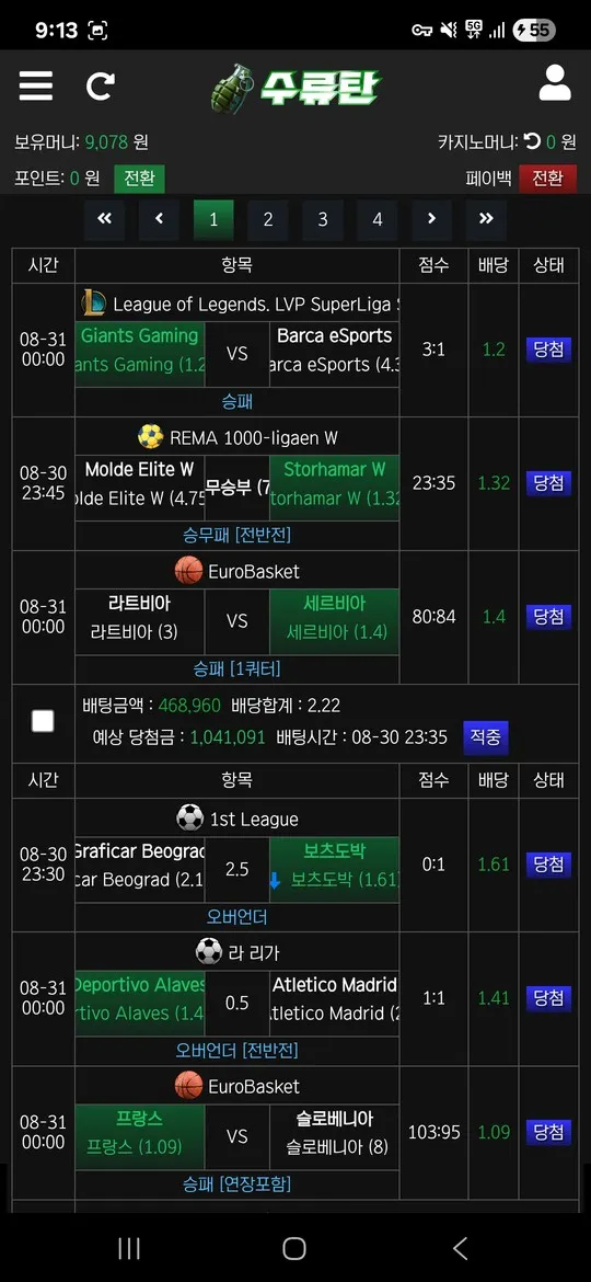증거 이미지 9