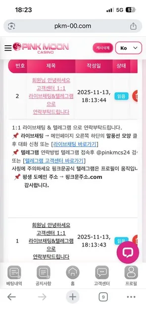 핑크문 카지노 먹튀 증거