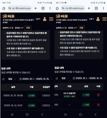 증거 이미지 1
