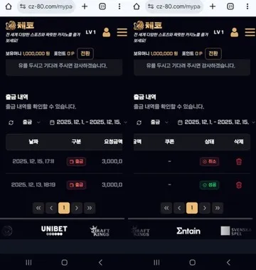 증거 이미지 2