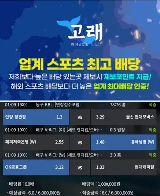 고래 먹튀신고합니다 네임드배너 먹튀 증거