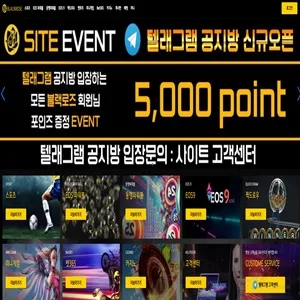 블랙로즈 먹튀 증거