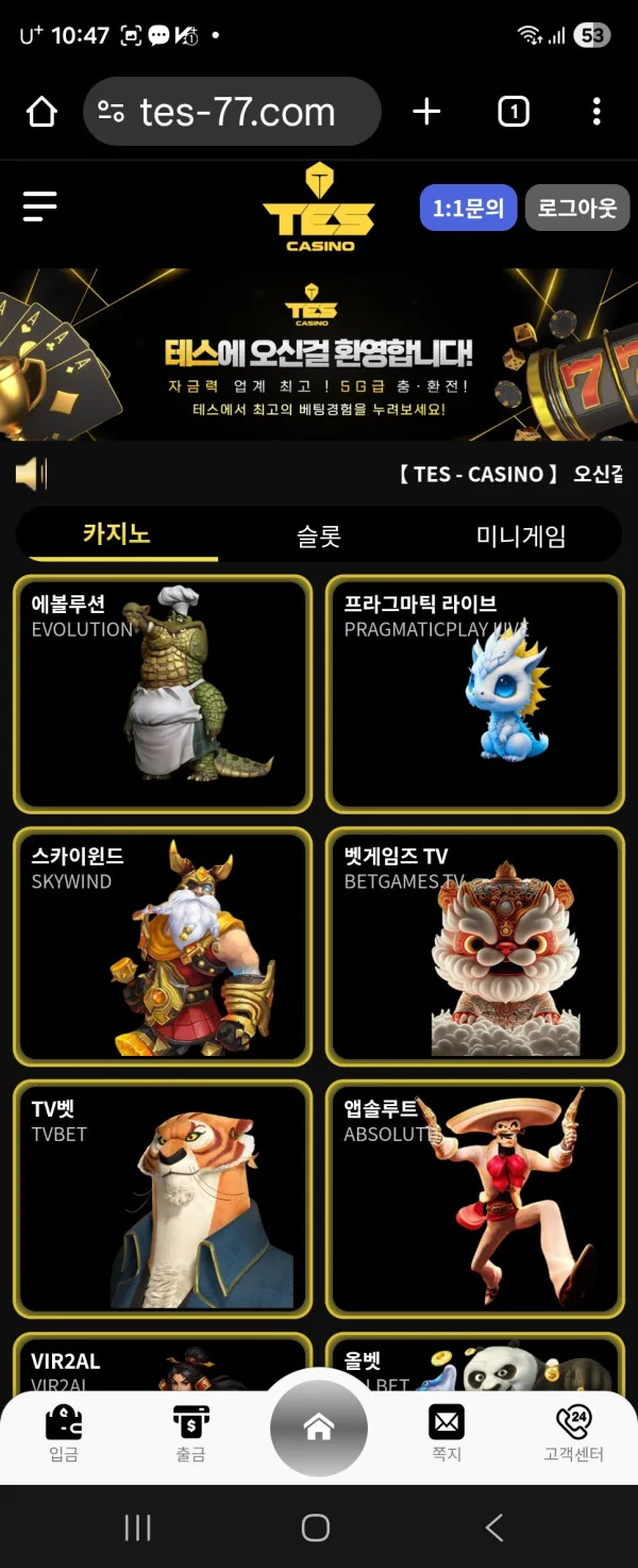 테스카지노 먹튀 증거