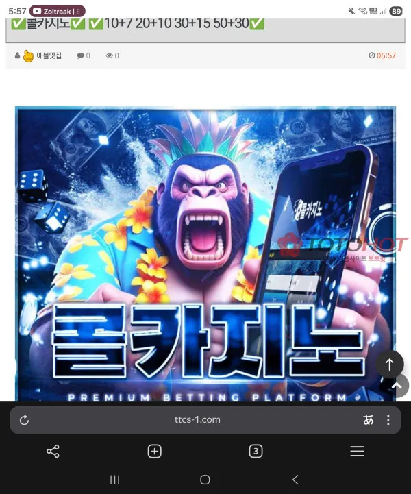 증거 이미지 3