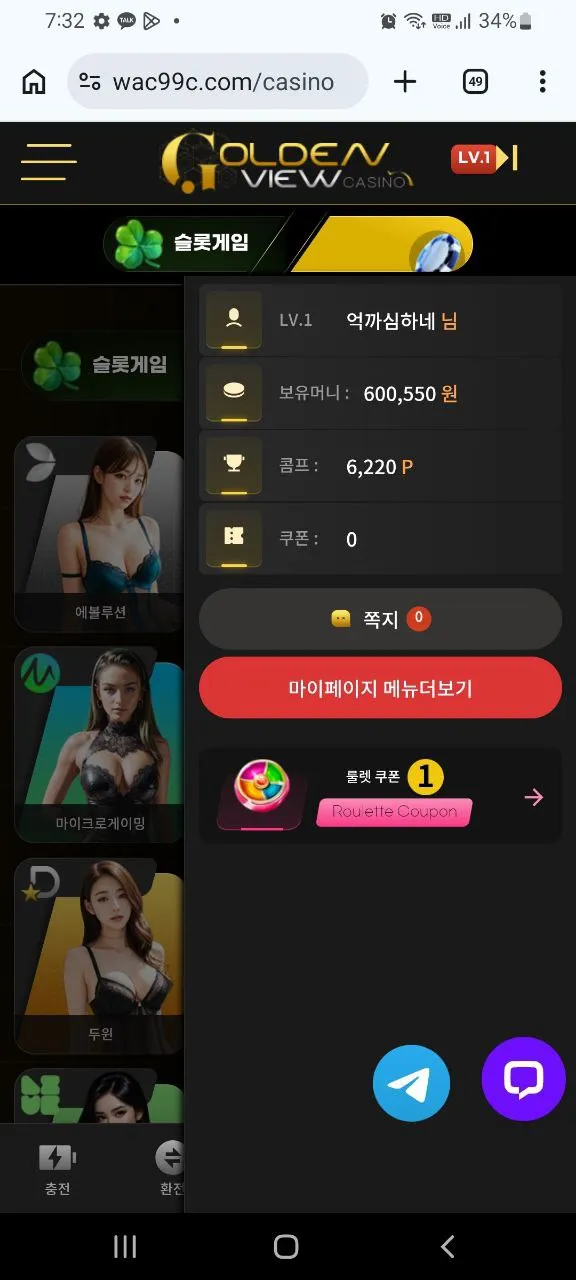 골든뷰 먹튀 증거