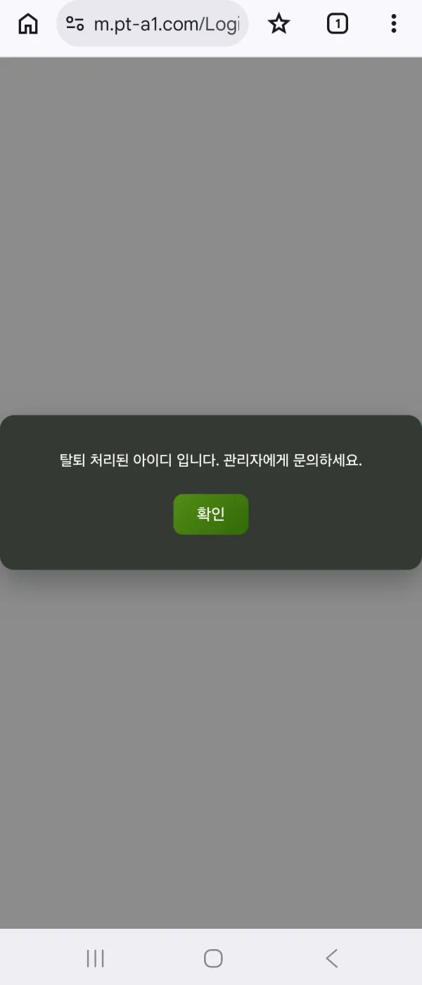 PEPE 먹튀 증거
