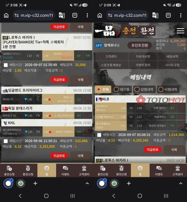증거 이미지 1