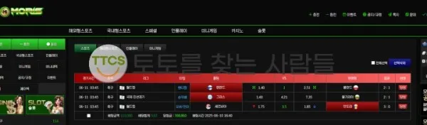 증거 이미지 2