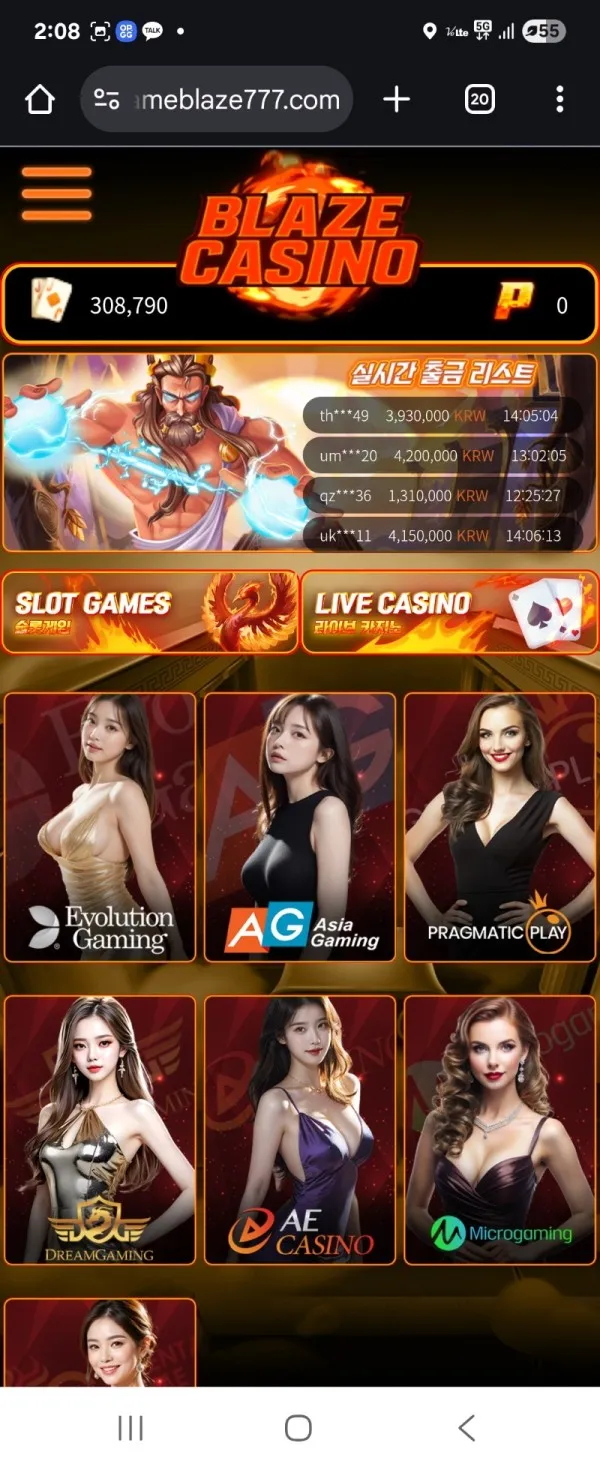 증거 이미지 5