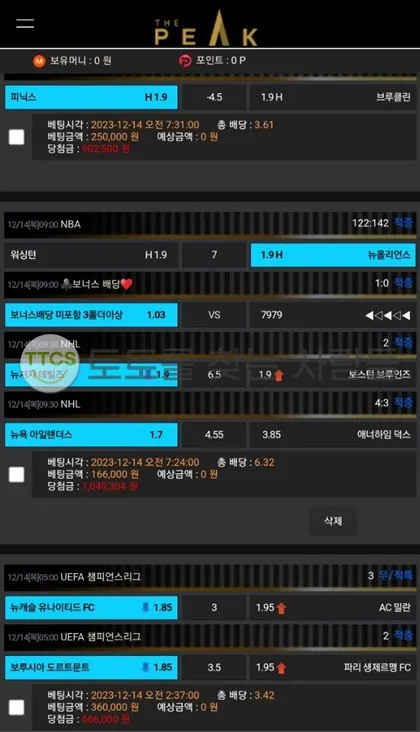 증거 이미지 2
