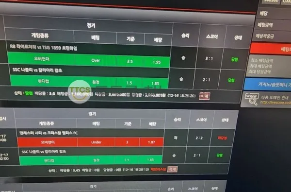 증거 이미지 2
