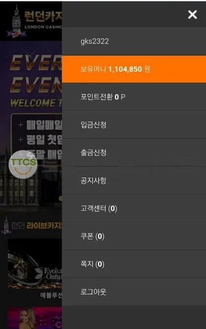 증거 이미지 1