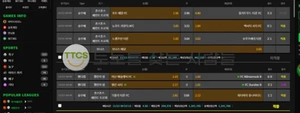 증거 이미지 2