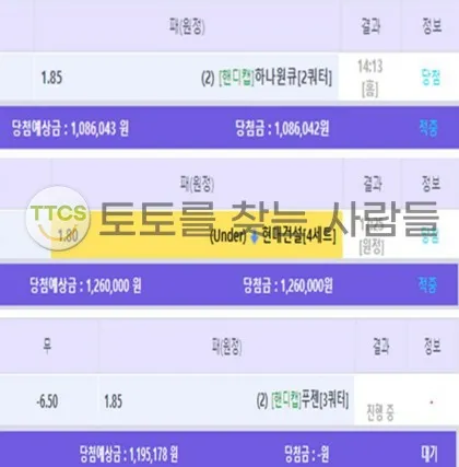 증거 이미지 2