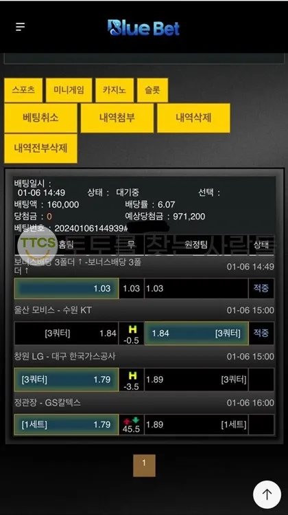 증거 이미지 3
