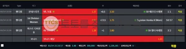 증거 이미지 1