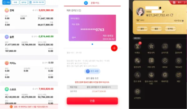 증거 이미지 3