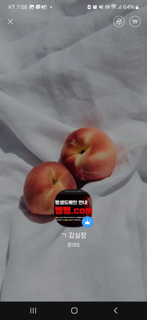 증거 이미지 2