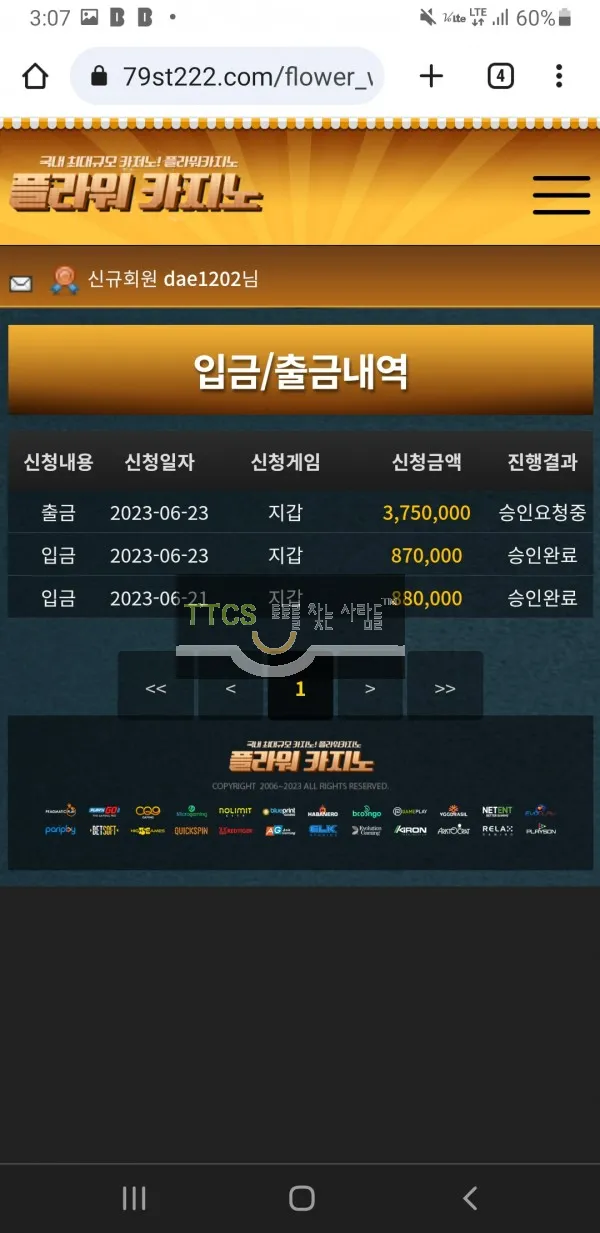 증거 이미지 1